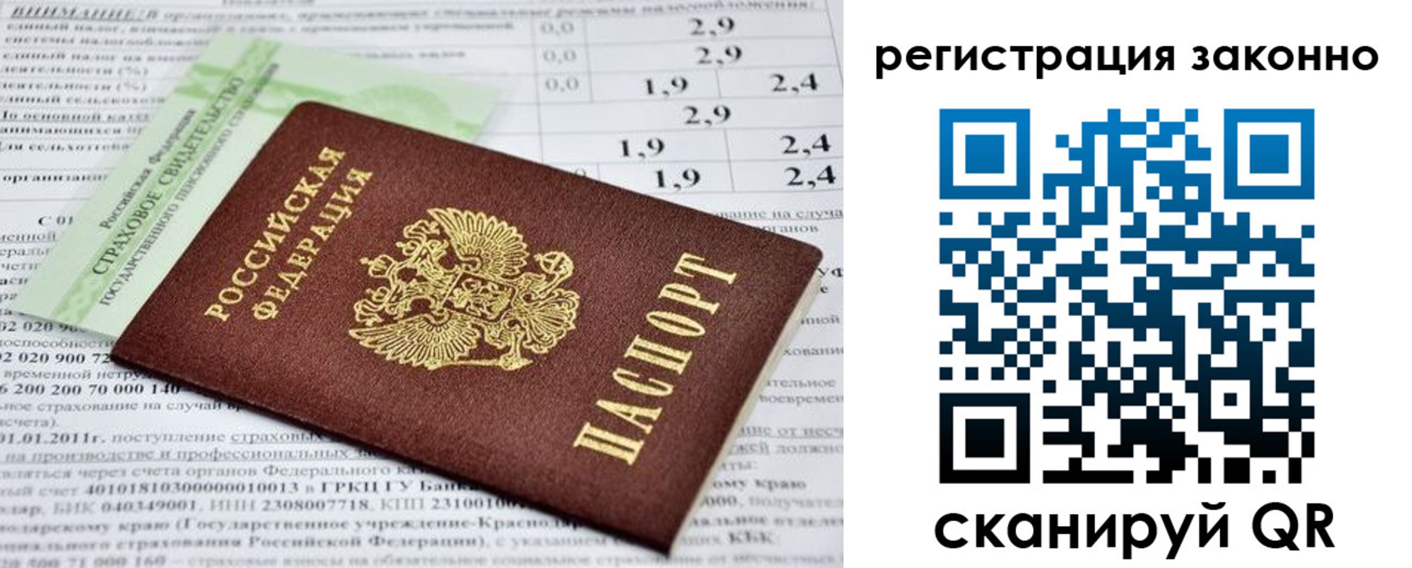 прописка поиск в Кингисеппе