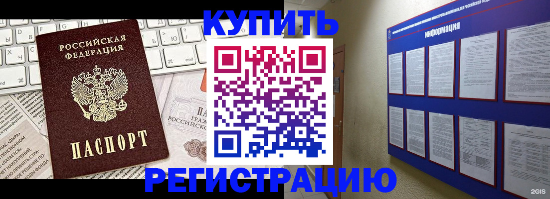 прописка поиск в Кингисеппе